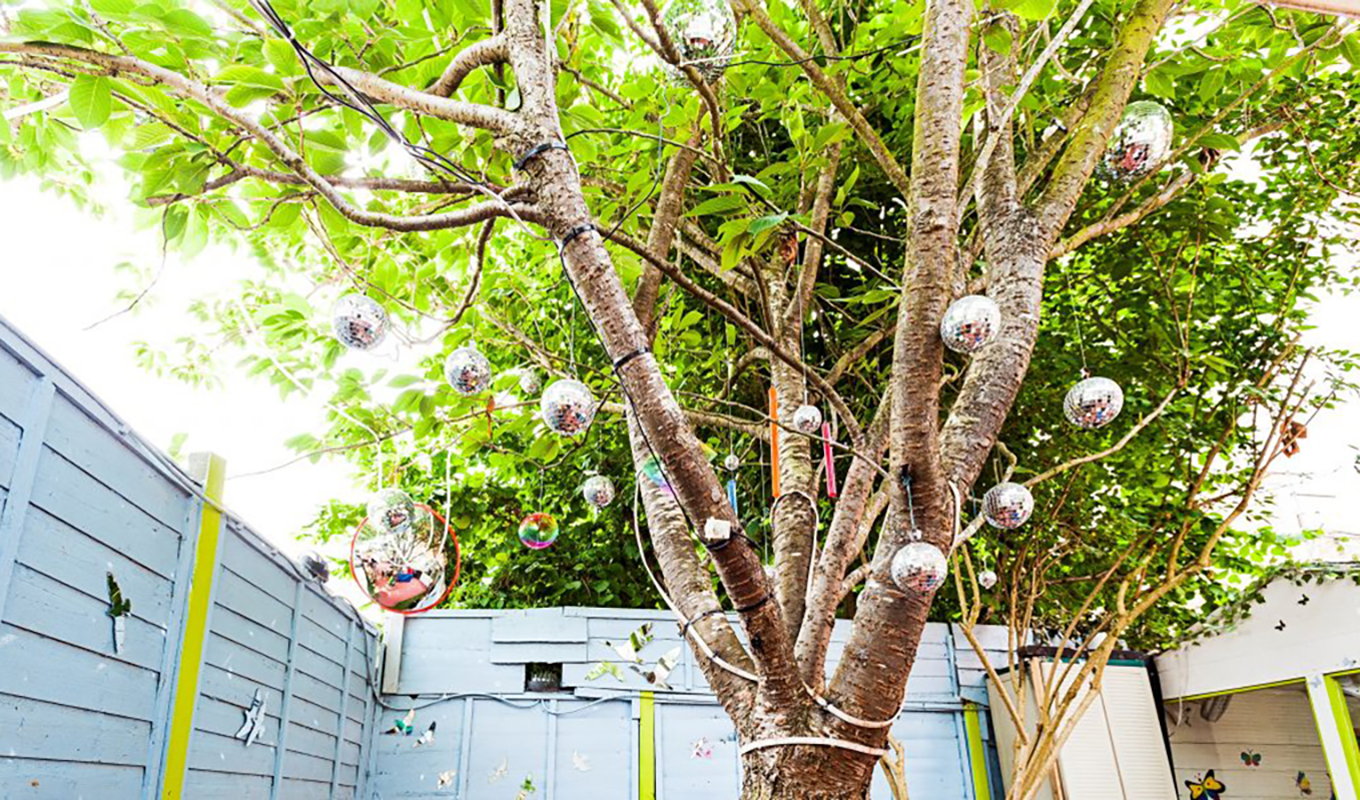 disco-tree