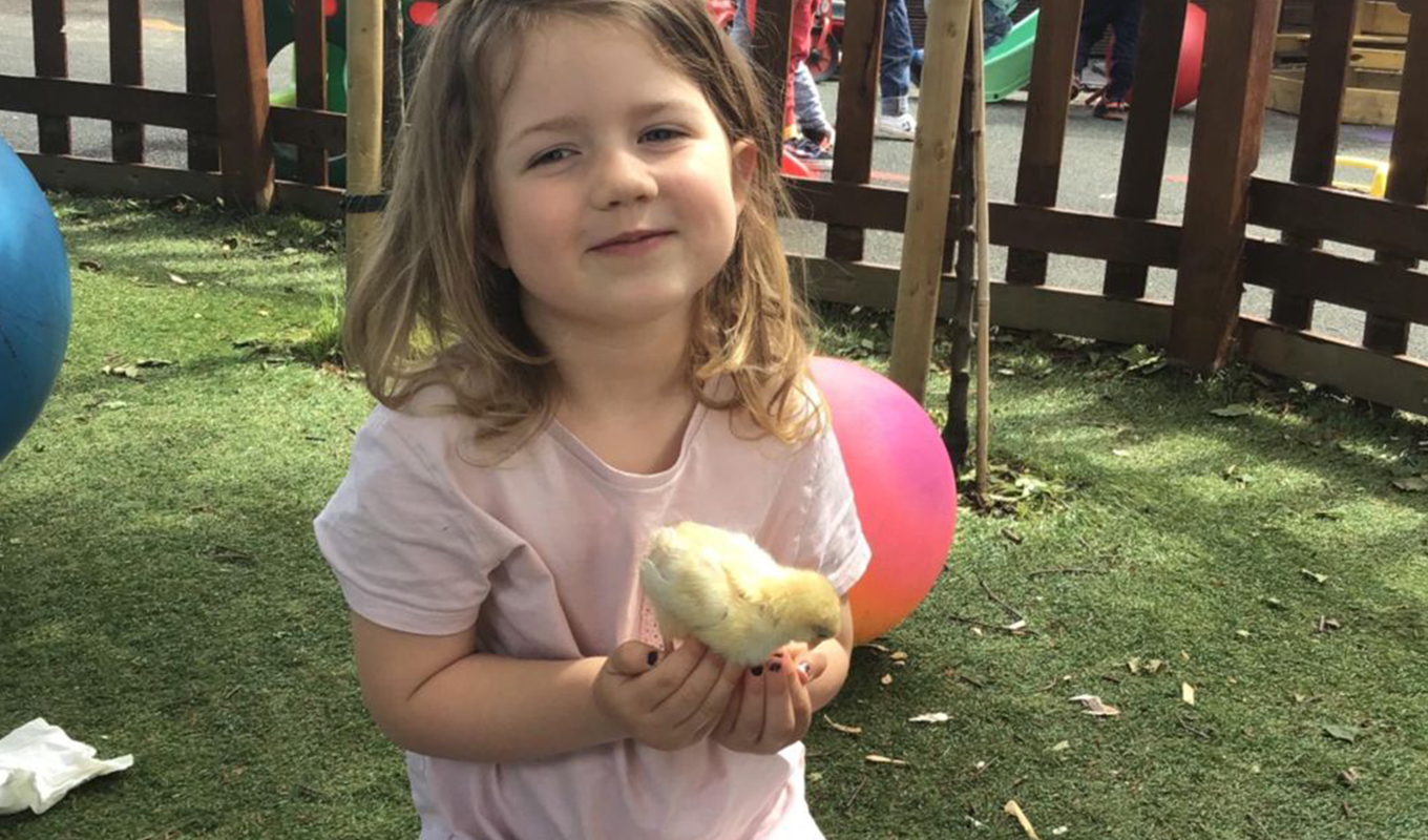 willow-chicken